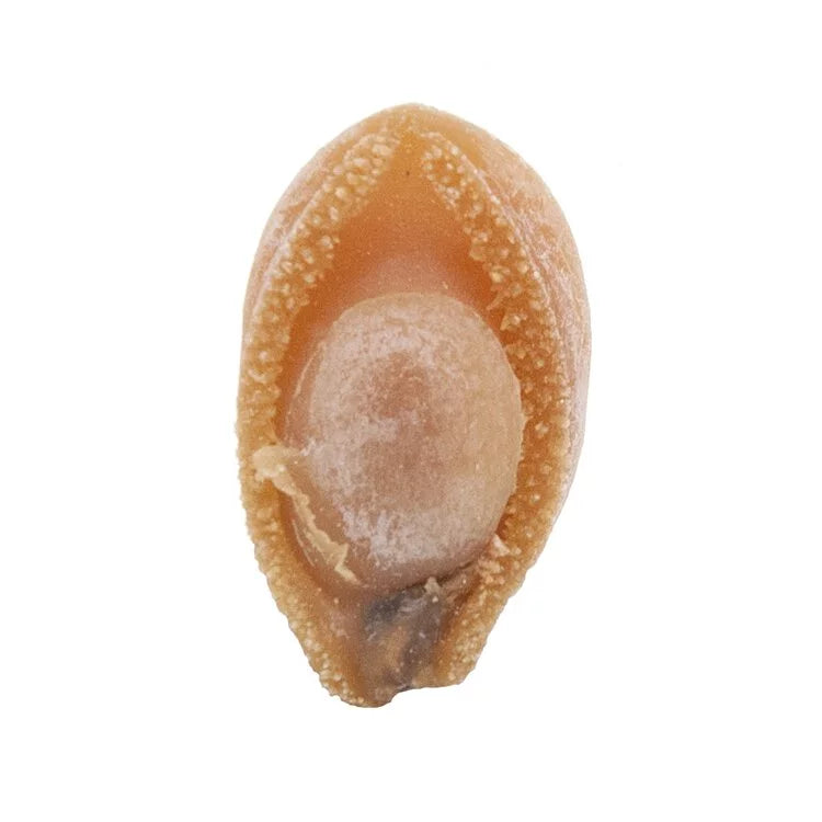 On Kee 56-60 pcs/ Catty South Africa Abalone