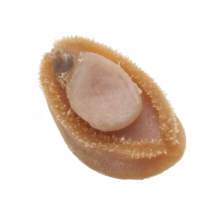 On Kee 27-30 pcs/ Catty South Africa Abalone