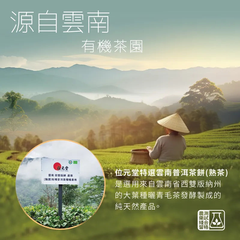 Wai Yuen Tong Pu-er Tea (Ripe Tea) 357g