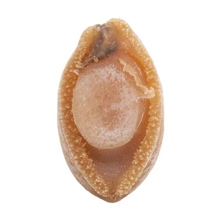 On Kee 56-60 pcs/ Catty South Africa Abalone