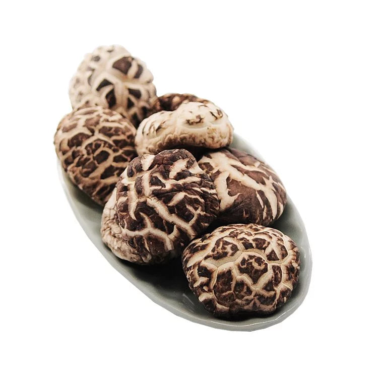 On Kee Premium Variegated Mushroom 300G