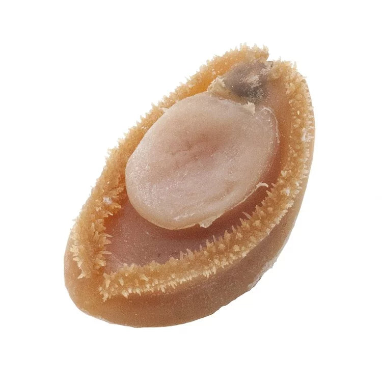 On Kee 27-30 pcs/ Catty South Africa Abalone