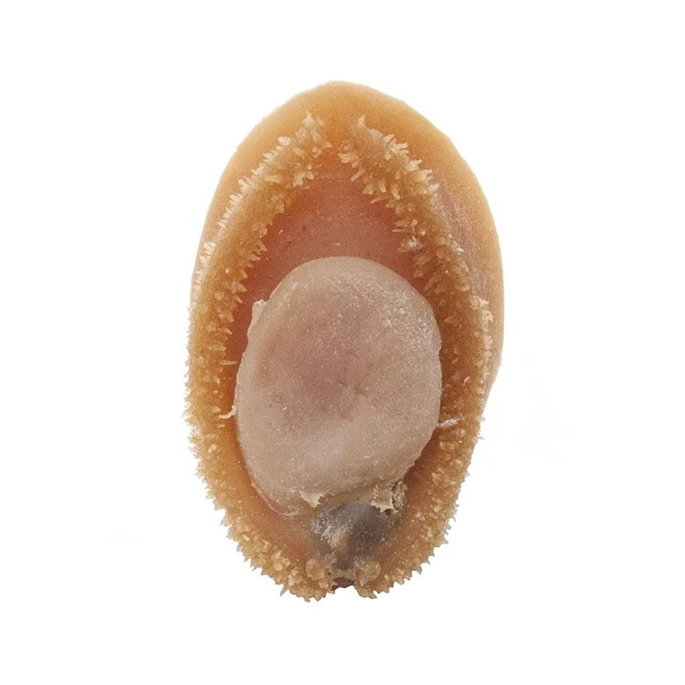 On Kee 27-30 pcs/ Catty South Africa Abalone