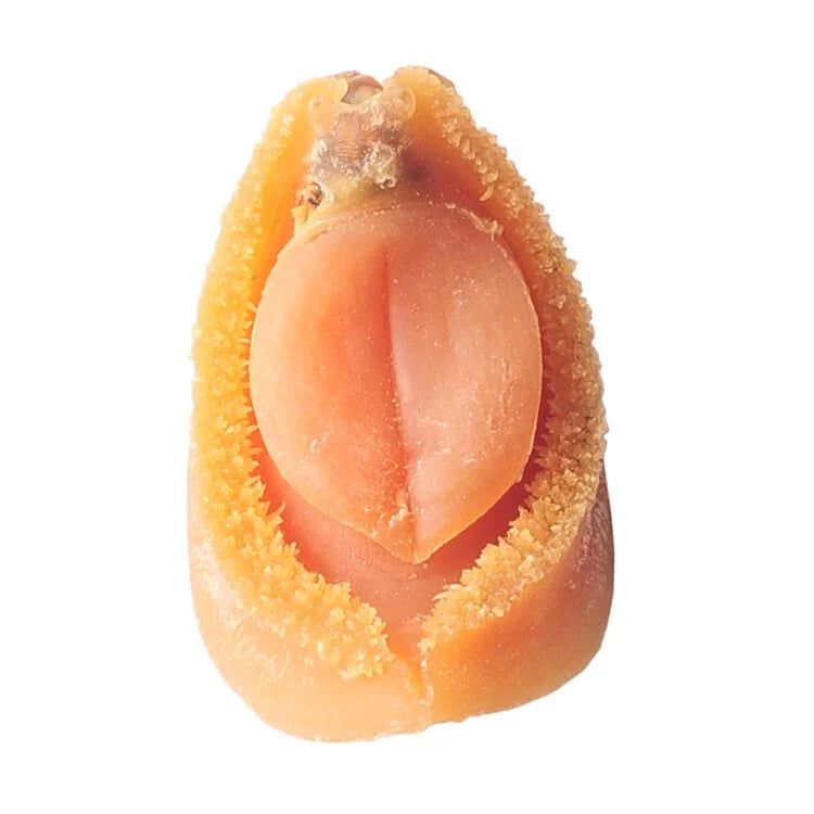 On Kee 21-23 pcs/ Catty South Africa Abalone