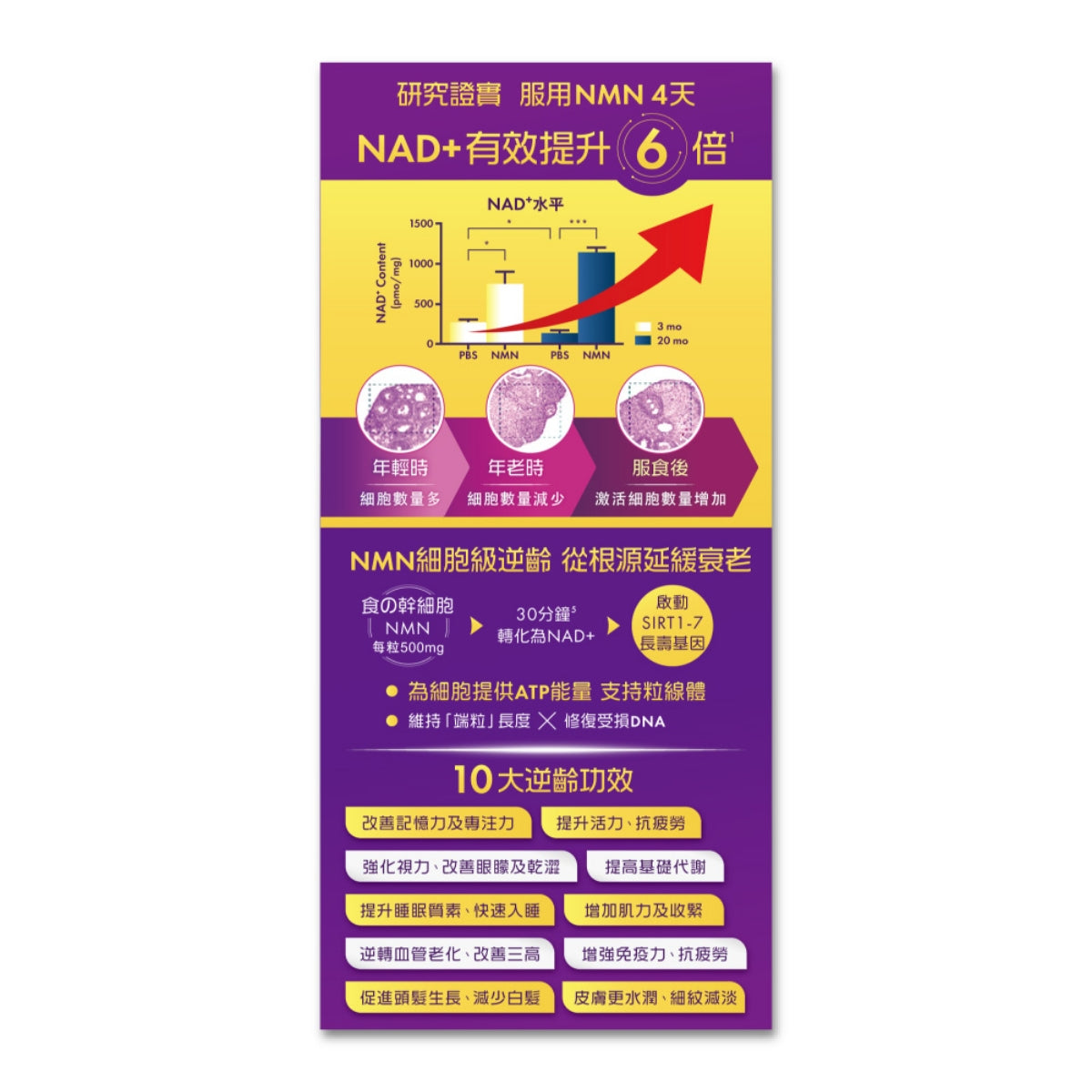 Revive NMN 40000+ 82 Capsules