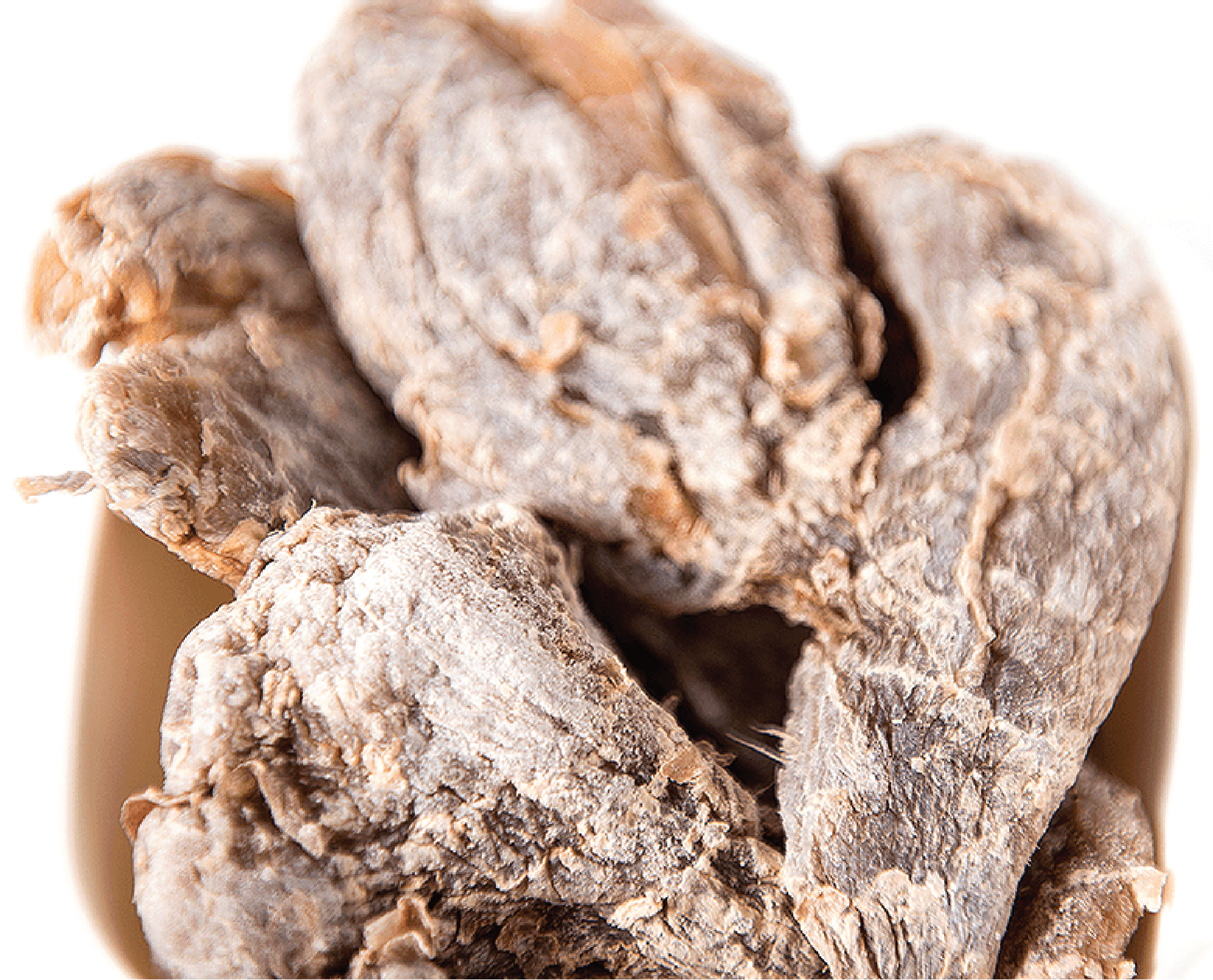 SHIU HEUNG YUEN DRIED GINGER 113.4G