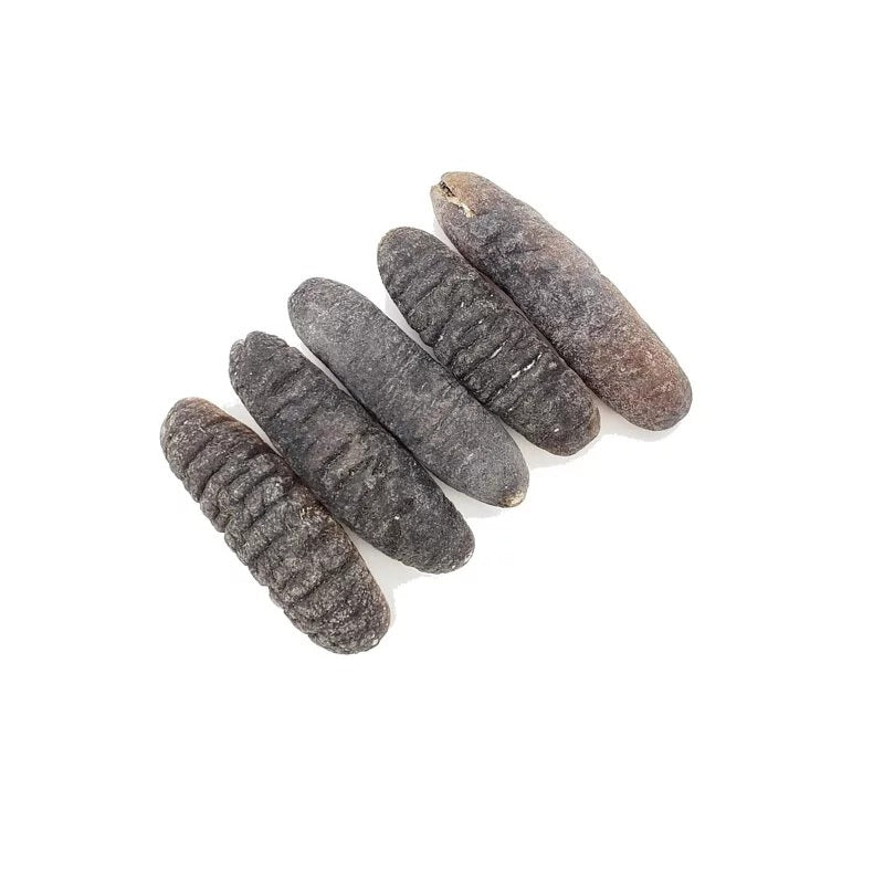 On Kee 41-47 pcs/ Catty South Pacific Sand Fish Sea Cucumber 300G