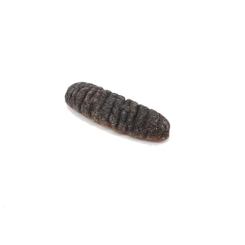 On Kee 41-47 pcs/ Catty South Pacific Sand Fish Sea Cucumber 300G