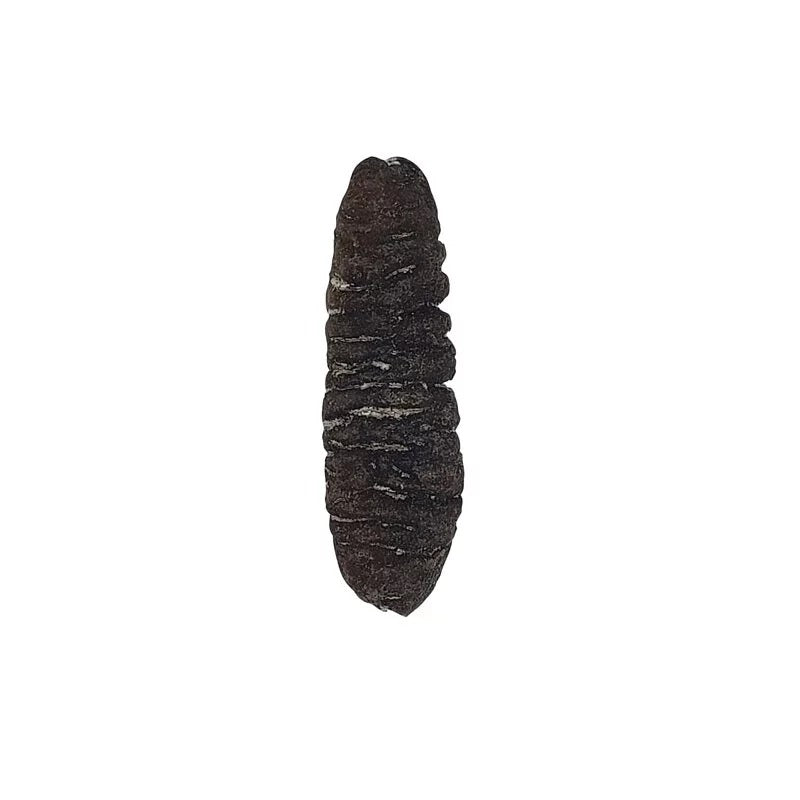 On Kee 25-30 pcs/ Catty South Pacific Sand Fish Sea Cucumber 300G