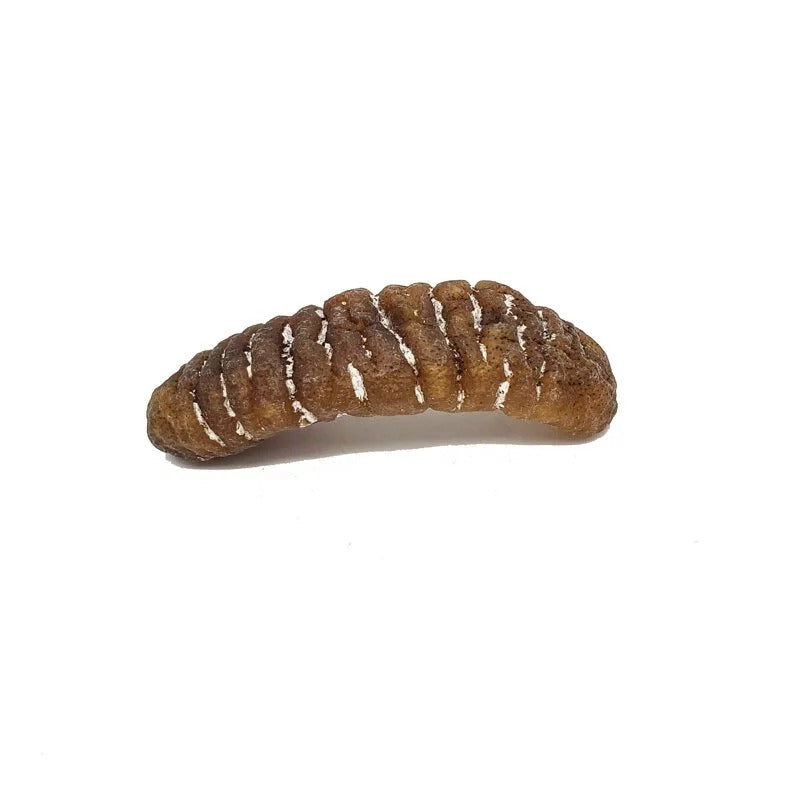 On Kee 15-18 pcs/ Catty Australia Sand Fish Sea Cucumber 300G