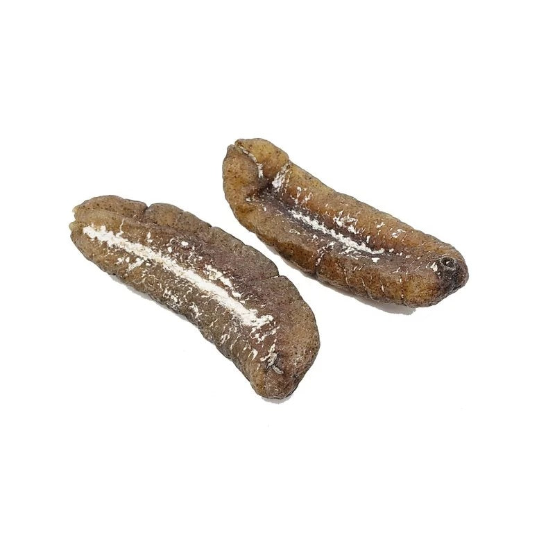 On Kee 15-18 pcs/ Catty Australia Sand Fish Sea Cucumber 300G