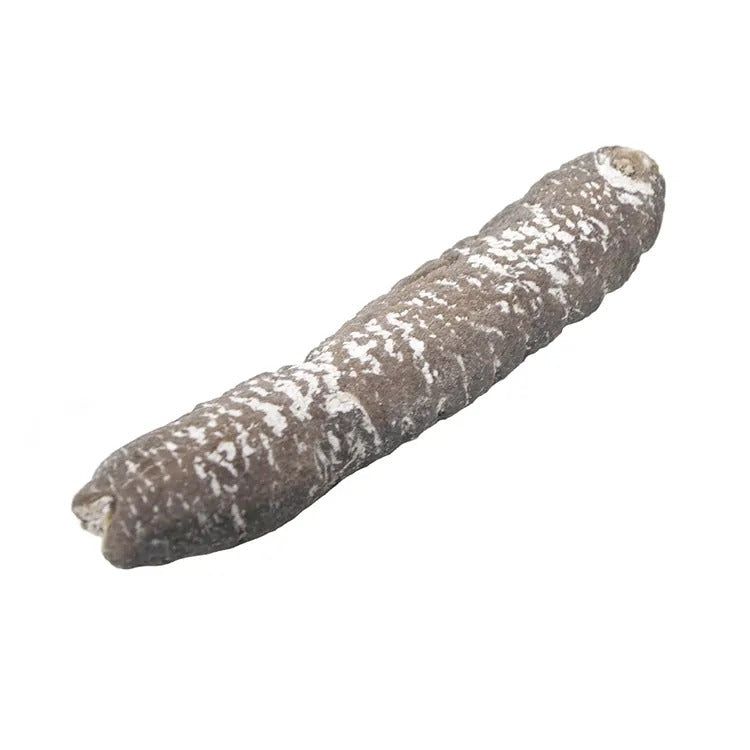On Kee 17-20 pcs/Catty Sea Cucumber (Middle East) 300G